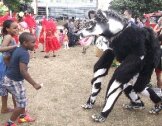 2015-barking-event Mandinga dog performer with crowds