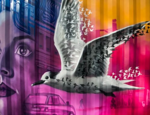 Student Film Call Out for Journeys Festival International – Portsmouth